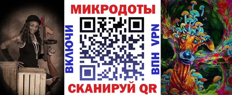 Галлюциногенные грибы Psilocybe  где продают наркотики  Муравленко 